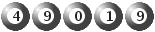 49019