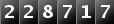 228717