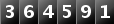 364591