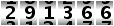 291366