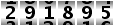291895