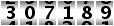 307189
