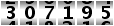 307195