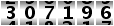 307196