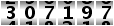 307197