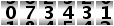 073431