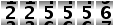 225556