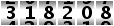318208