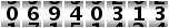 06940313
